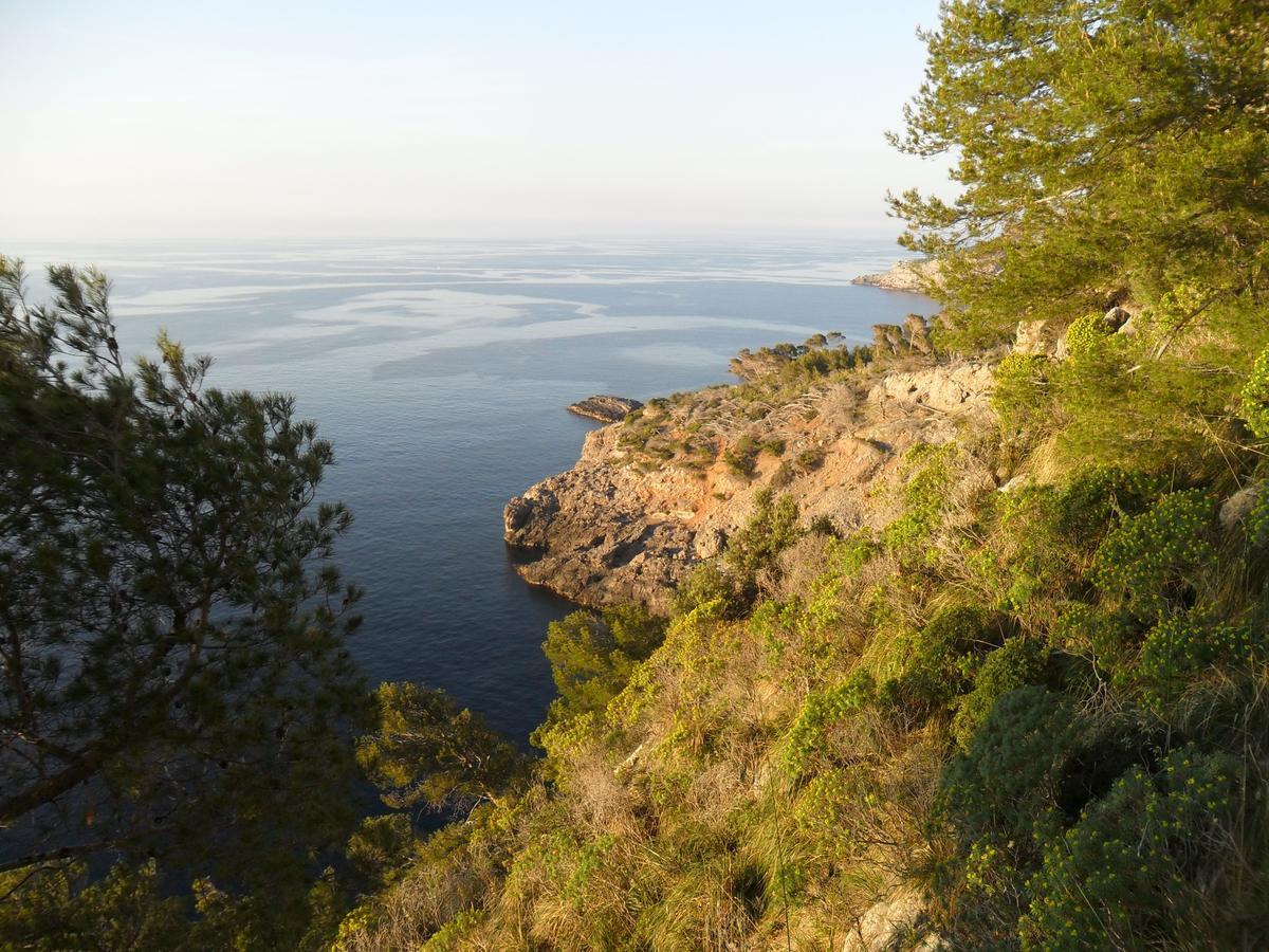 Hotel Sol Port Soller Puerto de Sóller Esterno foto